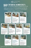 A Framework for the Regnum Christi Lay Apostle - Bundle Pack