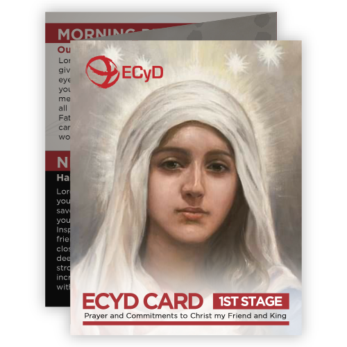 ECYD Pledge Cards