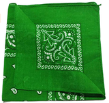 Mission Youth Bandana