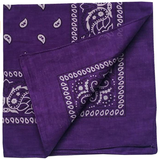Mission Youth Bandana