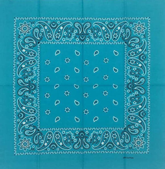 Mission Youth Bandana
