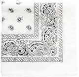 Mission Youth Bandana