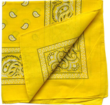 Mission Youth Bandana